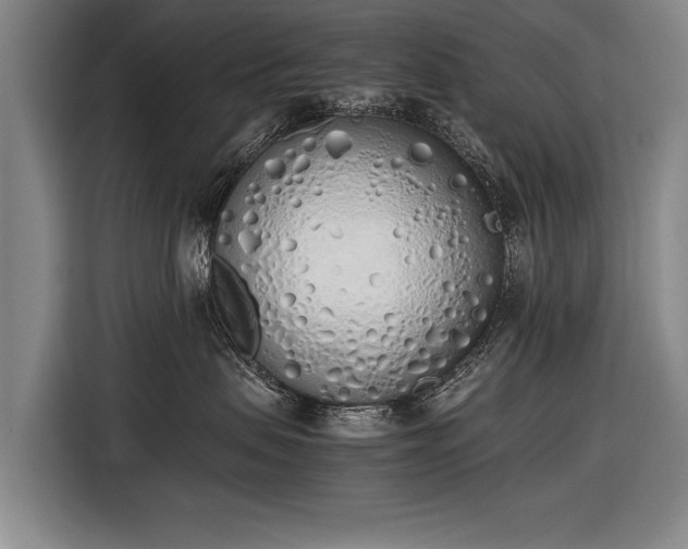 X0000116460479200912161236