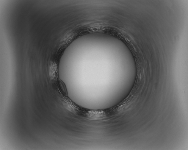 X0000116460480200912161236