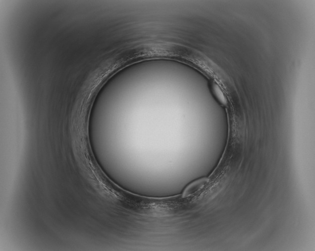 X0000116460481200912161235