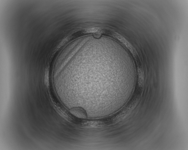 X0000116460482200912161235