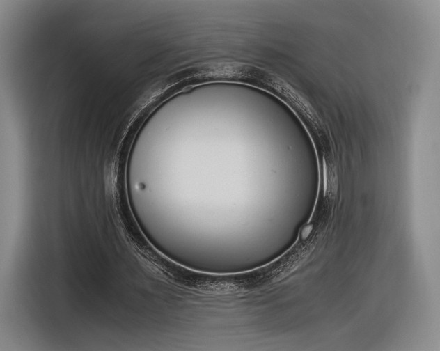 X0000116460483200912161235
