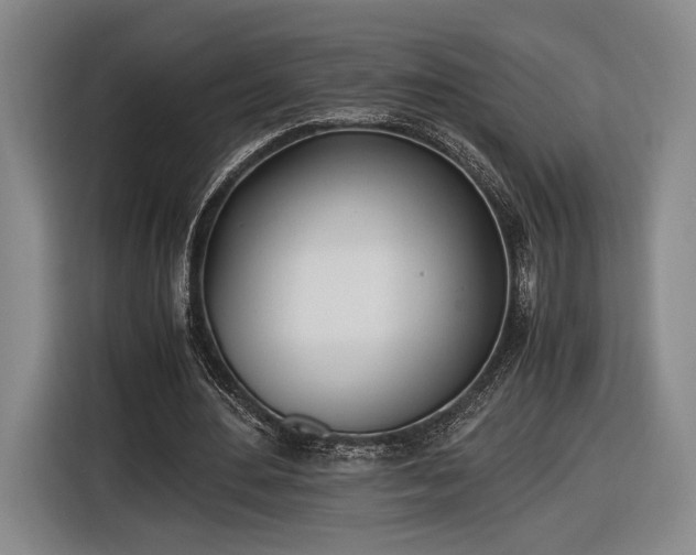 X0000116460484200912161235