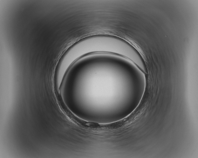 X0000116460485200912161235