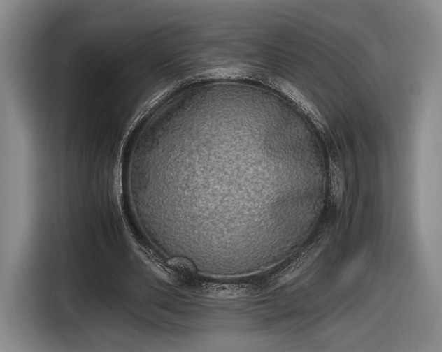 X0000116460486200912161235