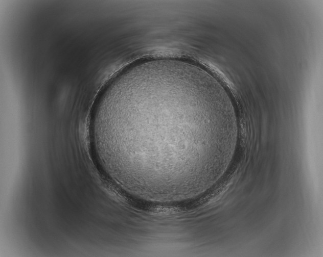 X0000116460487200912161235