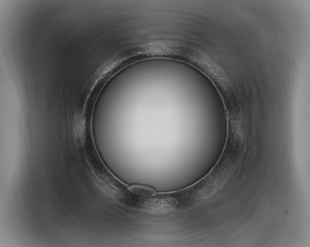 X0000116460488200912161235