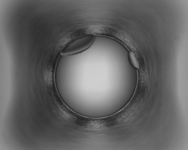 X0000116460489200912161235