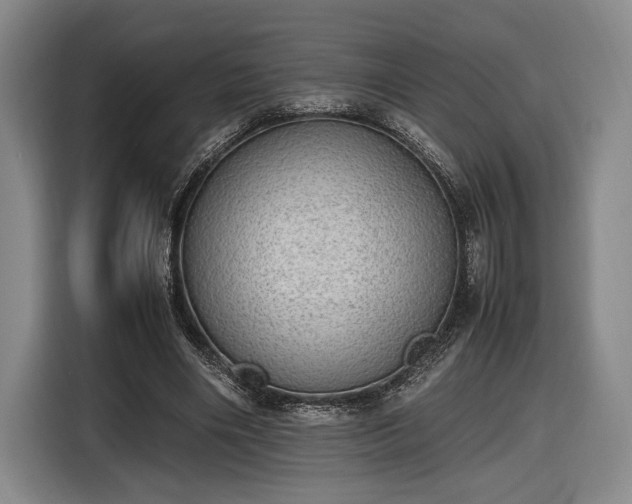 X0000116460490200912161235
