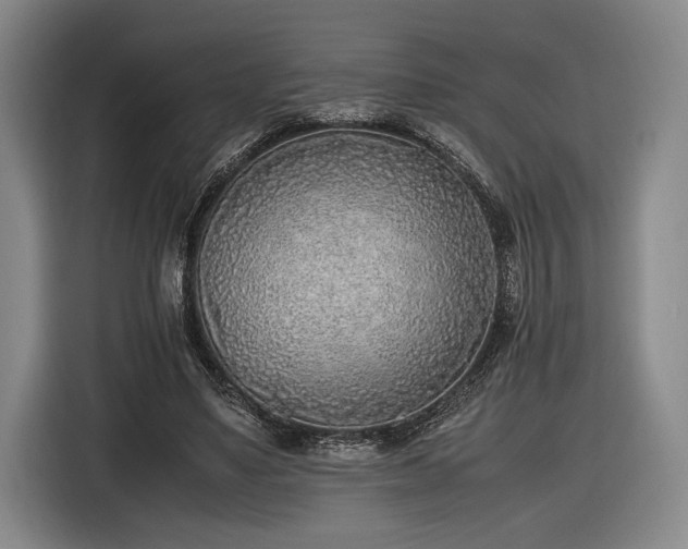 X0000116460491200912161235