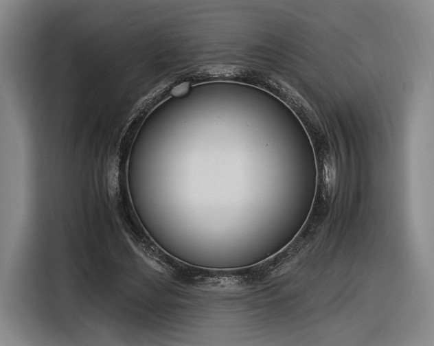 X0000116460492200912161235