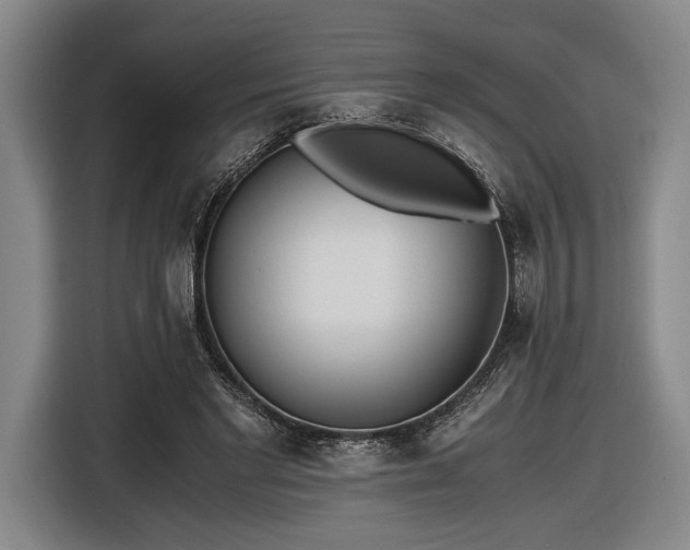 X0000116460493200912161235