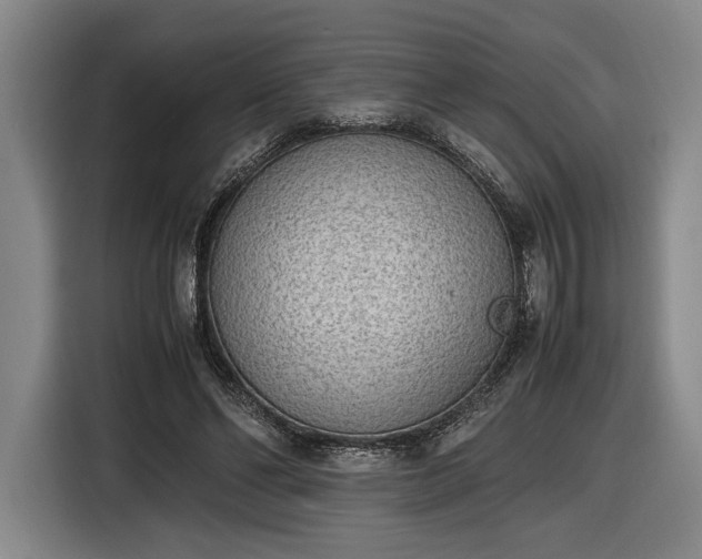 X0000116460494200912161235