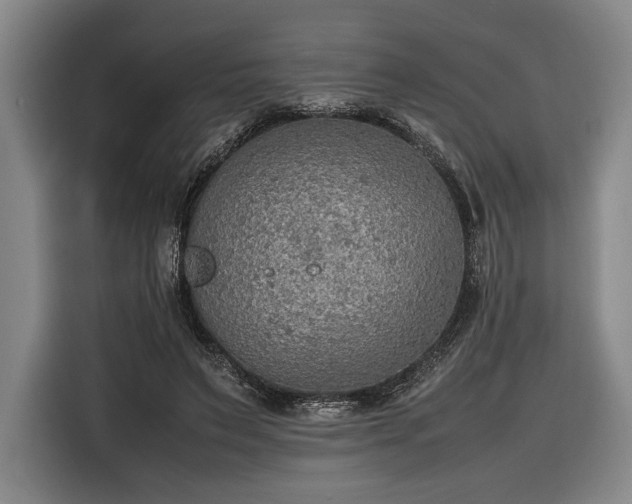 X0000116460495200912161235
