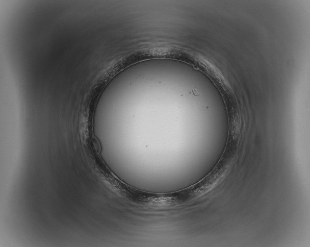 X0000116460497200912161235