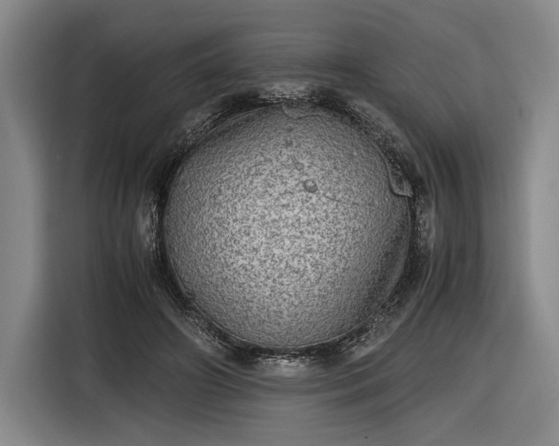 X0000116460498200912161235
