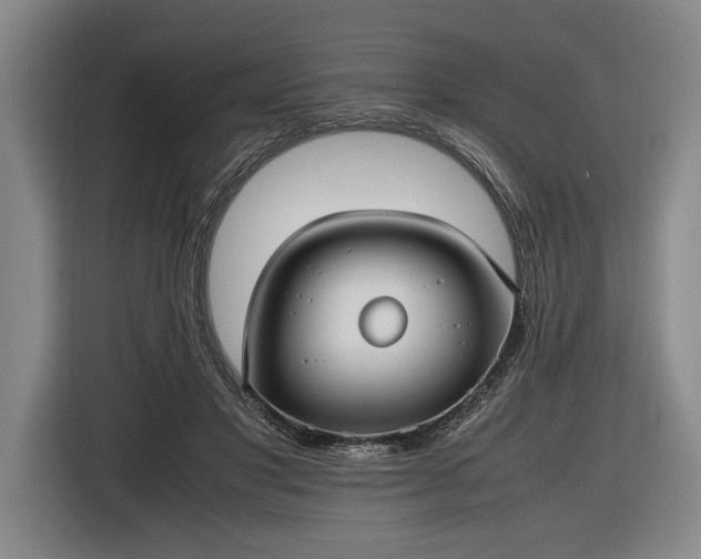 X0000116460501200912161235