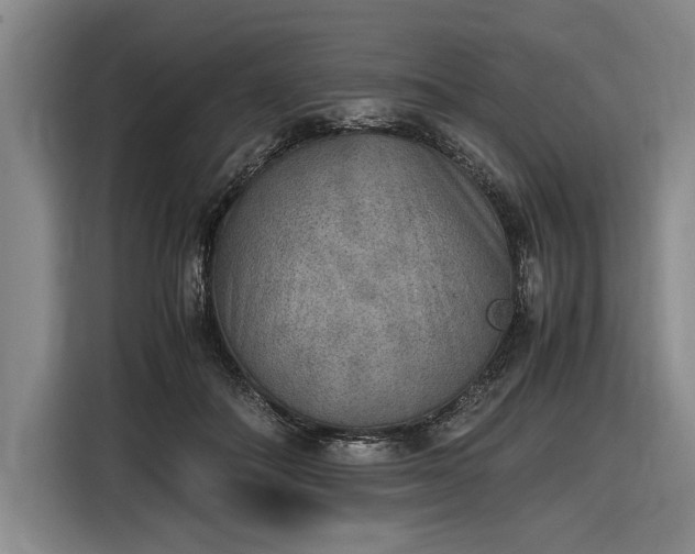 X0000116460506200912161235