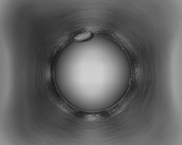 X0000116460508200912161235
