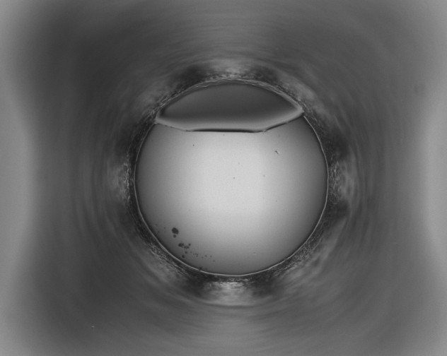 X0000116460509200912161235