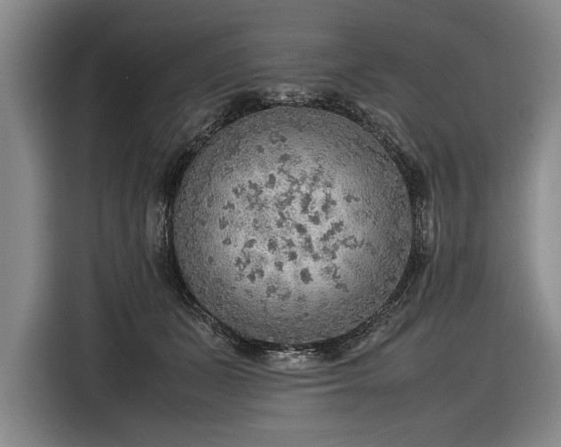 X0000116460511200912161235
