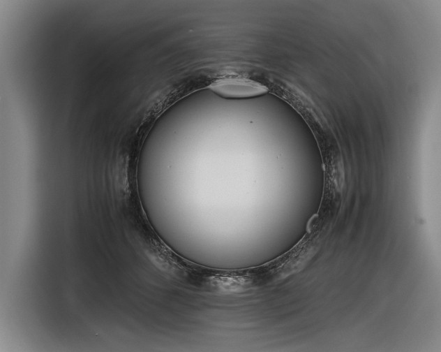 X0000116460512200912161235