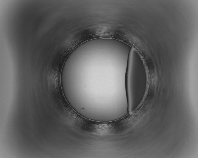 X0000116460513200912161235