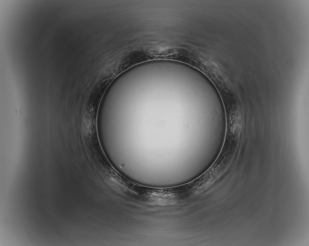 X0000116460515200912161235