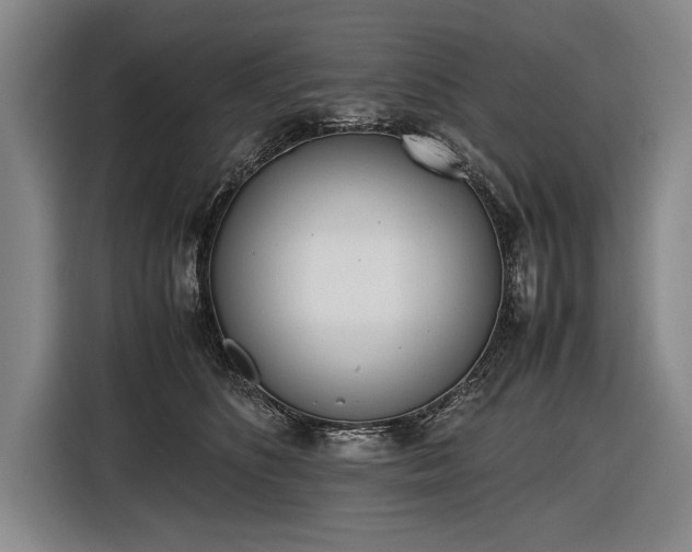 X0000116460516200912161235