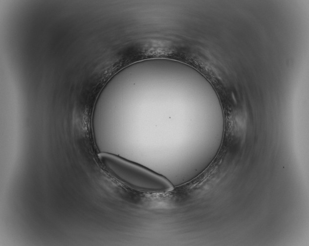 X0000116460517200912161235
