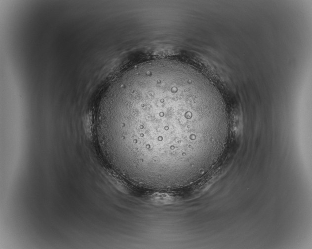 X0000116460519200912161235