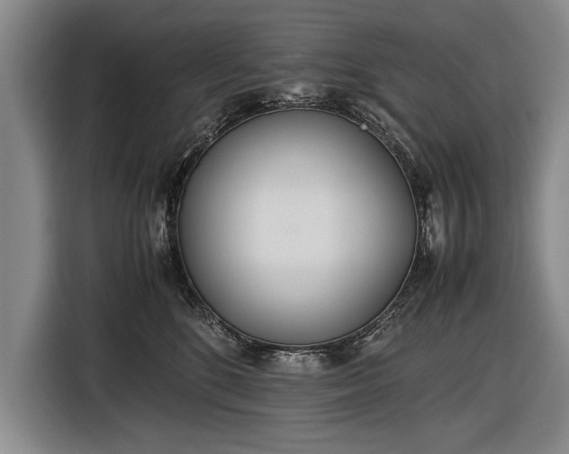 X0000116460520200912161235