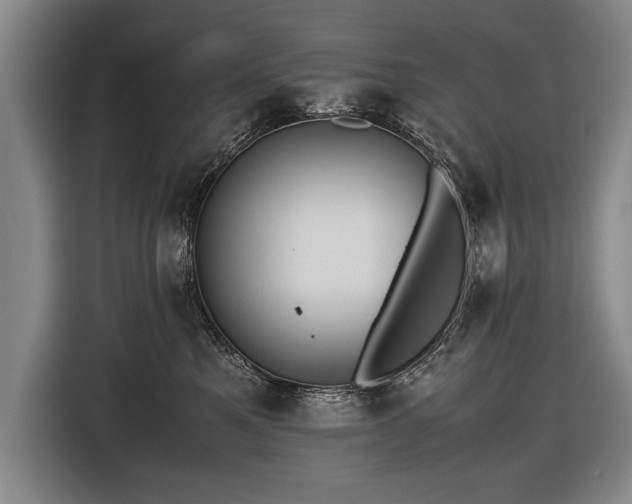 X0000116460521200912161235