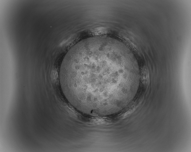 X0000116460523200912161235