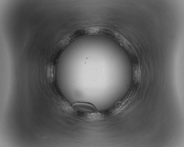 X0000116460525200912161234