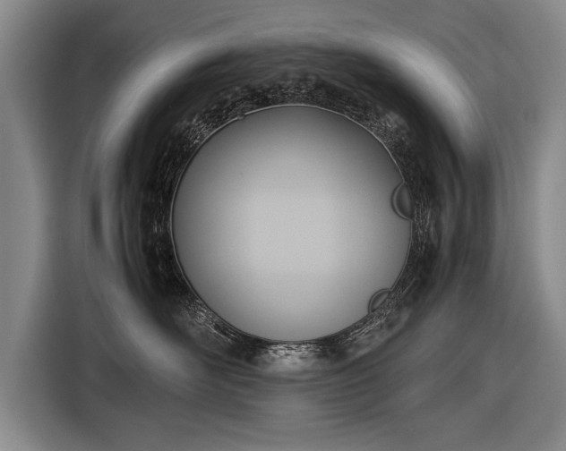 X0000116460526200912161234