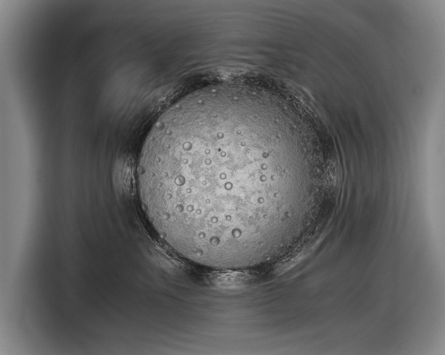 X0000116460527200912161234