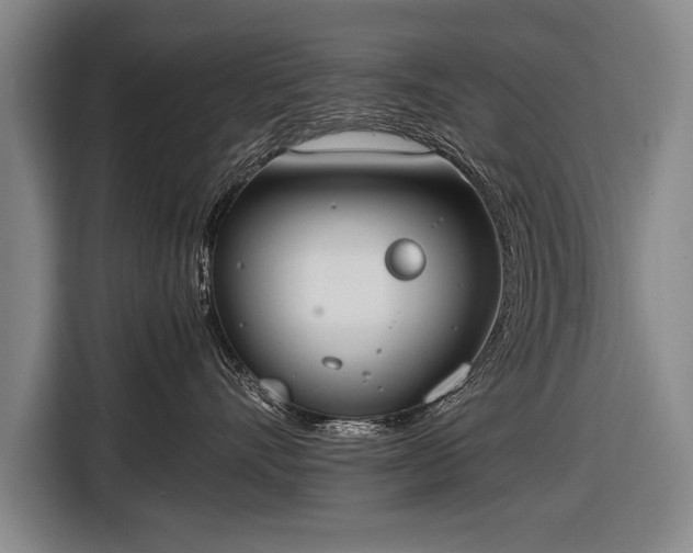 X0000116460528200912161234
