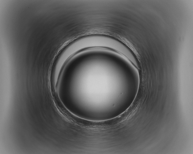 X0000116460530200912161234