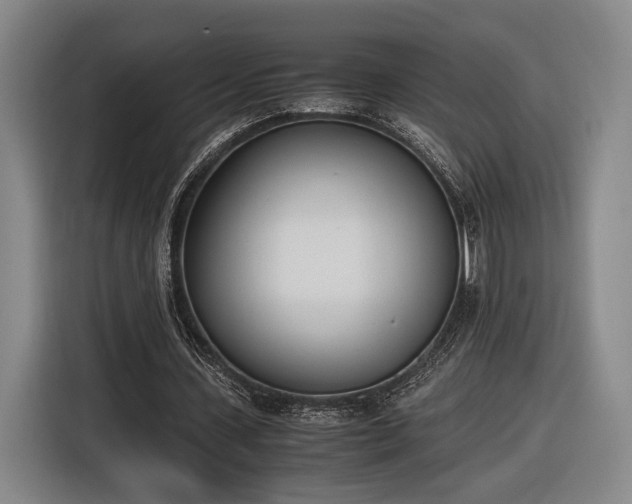 X0000116460531200912161234