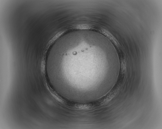X0000116460533200912161234