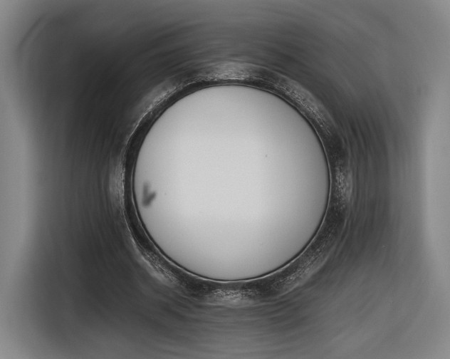 X0000116460534200912161234