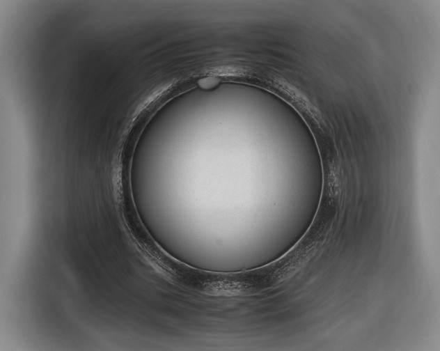 X0000116460535200912161234