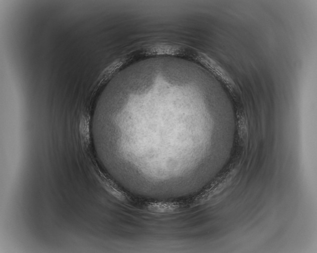 X0000116460537200912161234
