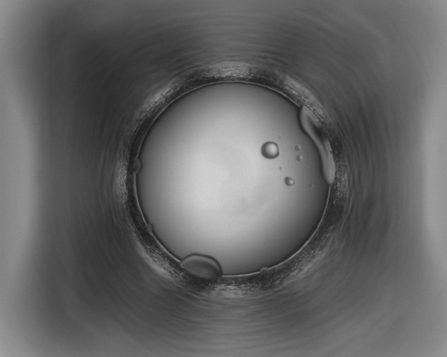 X0000116460538200912161234