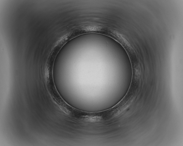 X0000116460539200912161234
