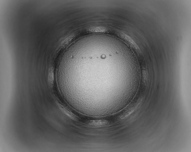 X0000116460541200912161234