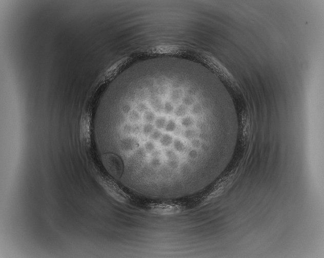 X0000116460542200912161234