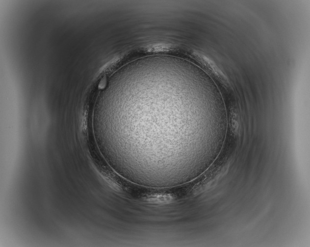 X0000116460543200912161234