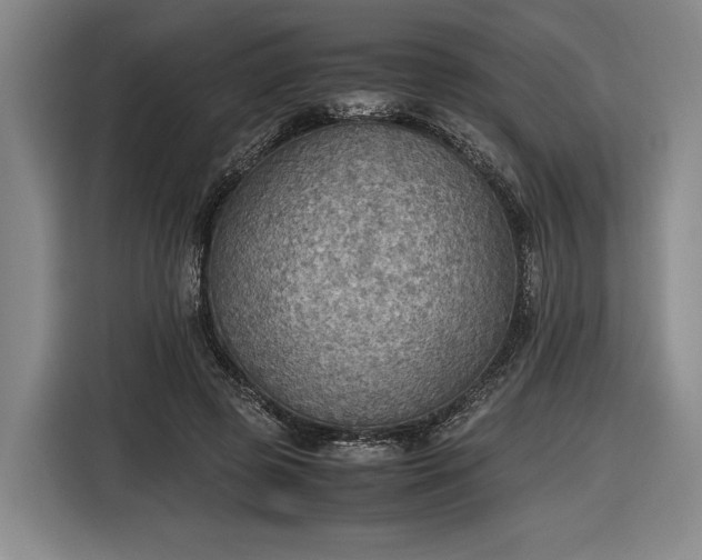 X0000116460545200912161234
