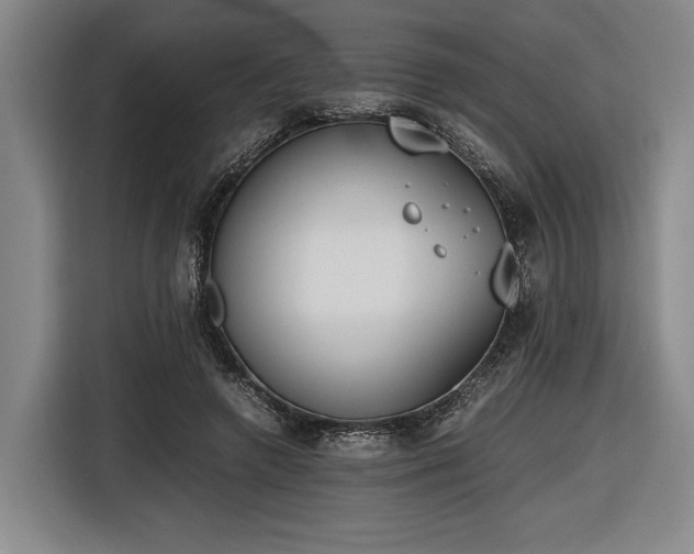 X0000116460546200912161234
